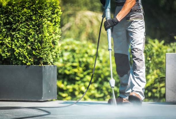 Spring Cleaning in Trumansburg, NY