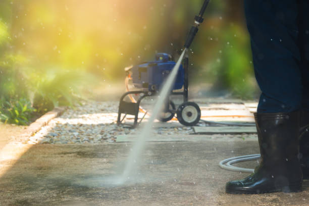 Pre-Holiday Cleaning in Trumansburg, NY